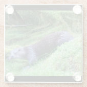 Riverside Otter Peaceful Water Animal Scene Nature Glasuntersetzer (Rückseite)