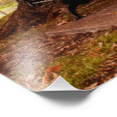 Riverside Park Benches Fotodruck (Ecke)