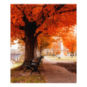 Riverside Park Benches Fotodruck (Vorne)