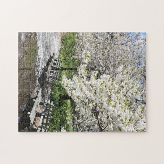 Riverside Park Spring Cheroms New York NYC Puzzle (Horizontal)