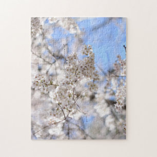 Riverside Park Spring Cheroms New York NYC Puzzle