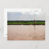 Riverside Water Buffalo und Fisherman, Kambodscha Postkarte (Vorne/Hinten)