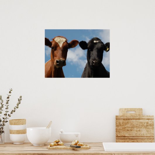 Riverton Cows, Devon, England Poster (Küche)