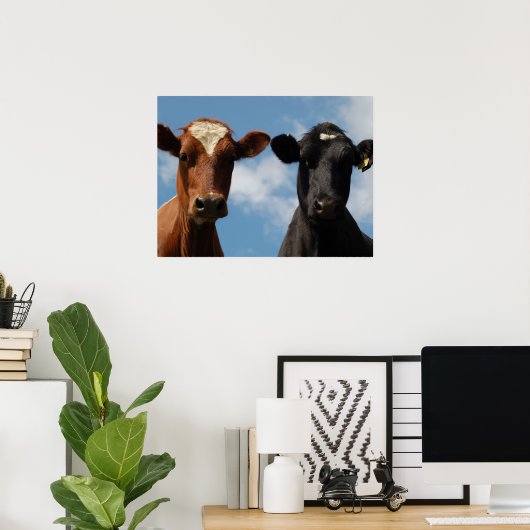 Riverton Cows, Devon, England Poster (Heimbüro)