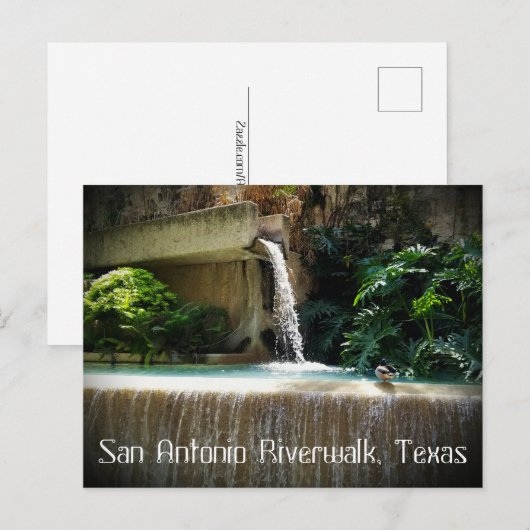 Riverwalk Postkarte (Vorne/Hinten)