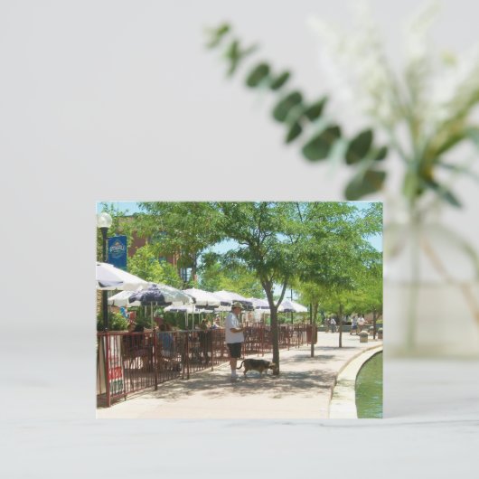 Riverwalk Pueblo Colorado Postcard - Cooper Beagle Postkarte (Stehend Vorderseite)