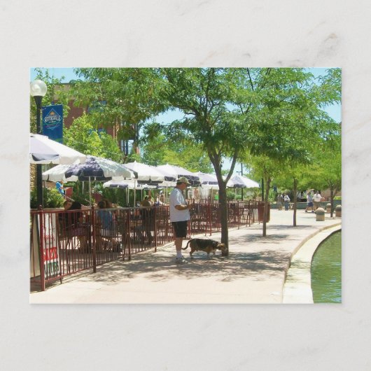 Riverwalk Pueblo Colorado Postcard - Cooper Beagle Postkarte (Vorderseite)