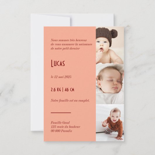 Riviera Fischerei und Pflaume Save The Date (Rückseite)