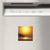 Riviera Maya Cancun Mexiko Karibikmeer-Magnet Magnet (In Situ (Geschirrspüler))