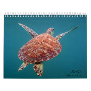 Riviera-Maya-Mexiko-Kalender Kalender