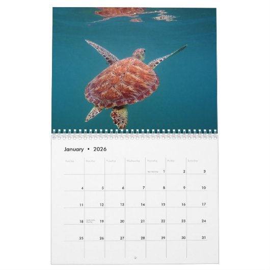 Riviera-Maya-Mexiko-Kalender Kalender (Jan 2026)