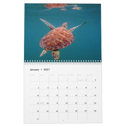 Riviera-Maya-Mexiko-Kalender Kalender (Jan 2027)