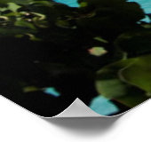 Riviera Maya Poster (Ecke)