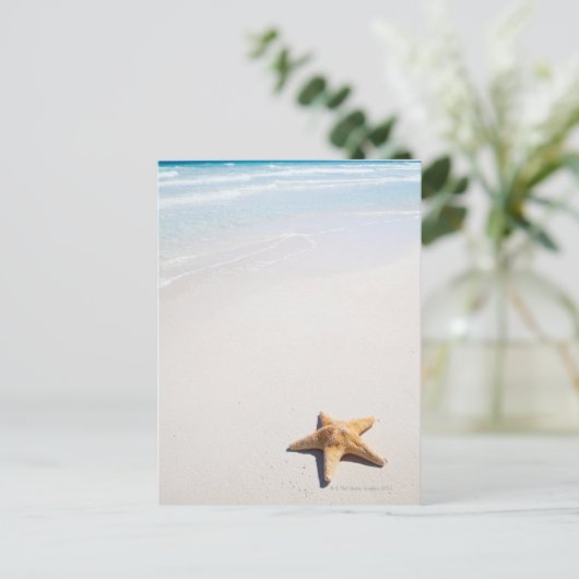 Riviera Maya Postkarte (Stehend Vorderseite)