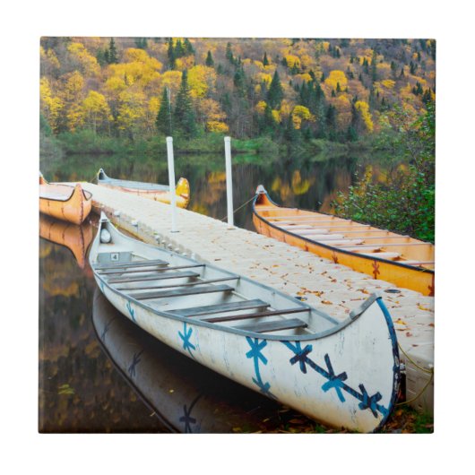 Rivière Jacques-Cartier | Rabaskas Dock Fliese (Vorderseite)