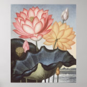RJ Thornton - Die heilige ägyptische Bean - Lotus Poster (Vorne)
