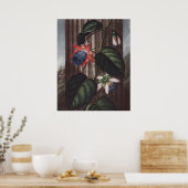 RJ Thornton - Winged Passion-Blume Poster (Küche)