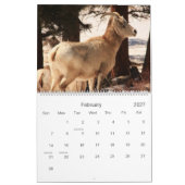 RMNP würzt Kalender (Feb 2027)