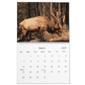 RMNP würzt Kalender (Mär 2027)