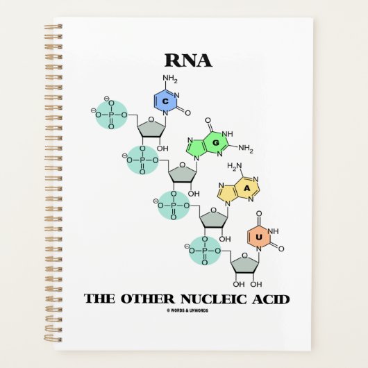 RNA Die andere nucleinsäurehaltige chemische Struk Planer (Vorderseite)