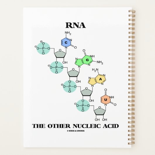 RNA Die andere nucleinsäurehaltige chemische Struk Planer (Rückseite)