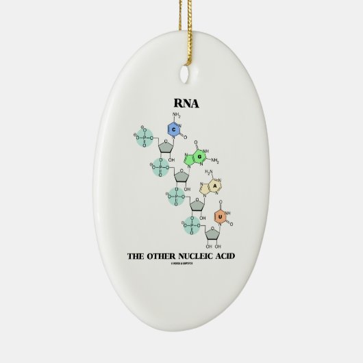 RNS die andere Nukleinsäure (chemische Struktur) Keramik Ornament (Rechts)