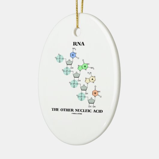 RNS die andere Nukleinsäure (chemische Struktur) Keramik Ornament (Links)