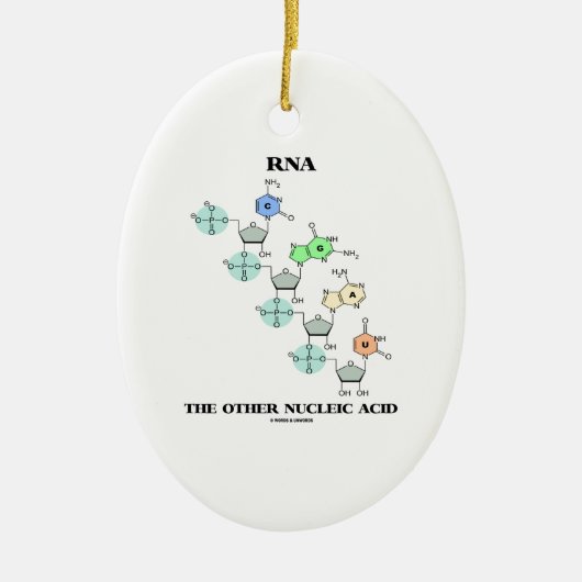 RNS die andere Nukleinsäure (chemische Struktur) Keramik Ornament (Vorne)