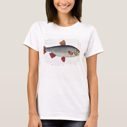 Roach (Cyprinus Rutilis), Platte II aus "Ichthyolo T-Shirt (Vorderseite)
