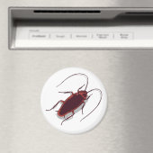 Roach! Magnet (In Situ (Geschirrspüler))