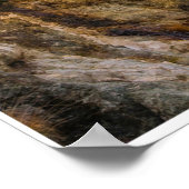 Road Into the Quiet Poster (Ecke)