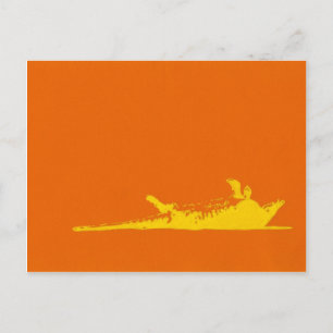 ROAD KILL ARMADILLO POSTKARTE