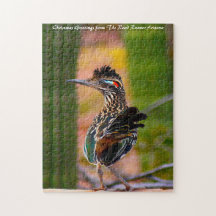 Road Runner Arizona. Weihnachtsgrüße