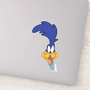 ROAD RUNNER™ Face Aufkleber