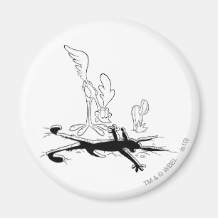 ROAD RUNNER™ und WILE E. COYOTE™ Shaped Hole Magnet