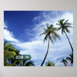 Road-Schild Ocean Drive, South Beach, Miami, Flori Poster