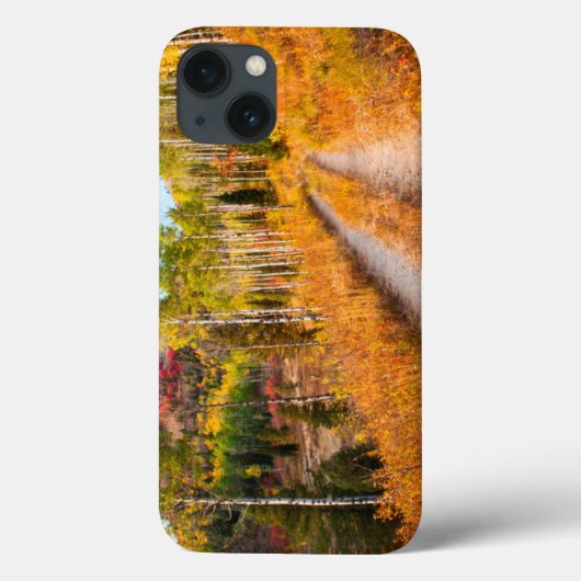 Road Through Autumn Colors Case-Mate iPhone Hülle (Rückseite)
