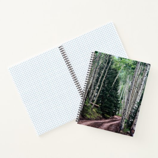 Road Through The Birch Notizblock (Innenseite)