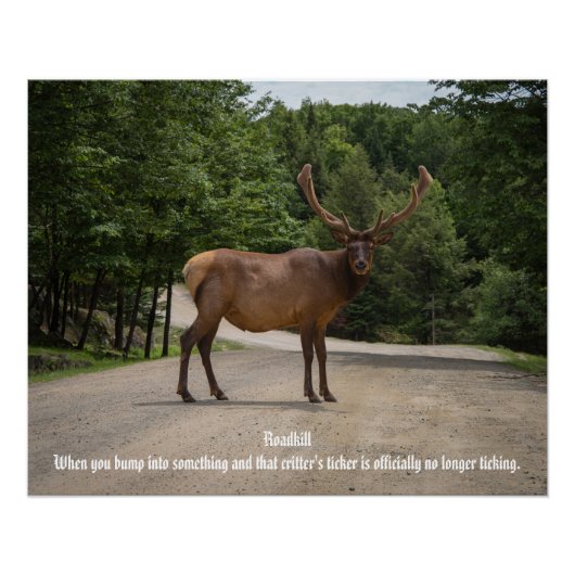 Roadkill Poster (Vorderseite)