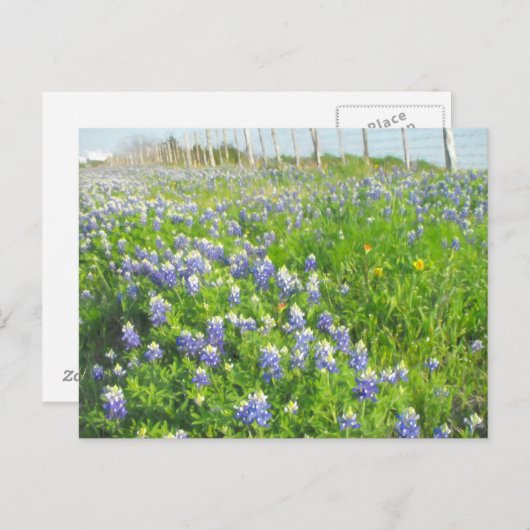 Roadmap für Bluebonnets Postkarte (Vorne/Hinten)