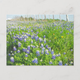 Roadmap für Bluebonnets Postkarte