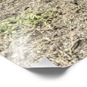 Roadroster in Philipsburg, St Maarten Fotodruck (Ecke)