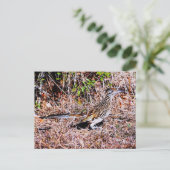 Roadrunner Bird Postkarte (Stehend Vorderseite)