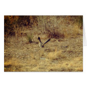 Roadrunner Blank Greeting Card + White Envelope (Vorderseite (Horizontal))