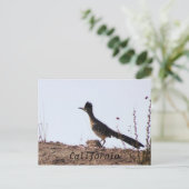 RoadRunner California Postkarte (Stehend Vorderseite)
