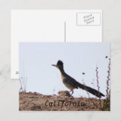 RoadRunner California Postkarte (Vorne/Hinten)