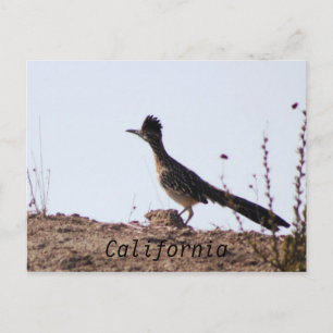 RoadRunner California Postkarte