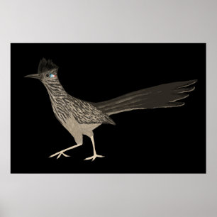 Roadrunner Colored Pencil zeichnend auf schwarz Poster