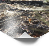 Roadrunner Fotodruck (Ecke)