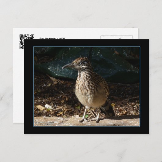 Roadrunner für Frauen Postkarte (Vorne/Hinten)